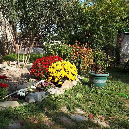 Old House Apartment With Garden Area Mtsʼkhetʼa エクステリア 写真