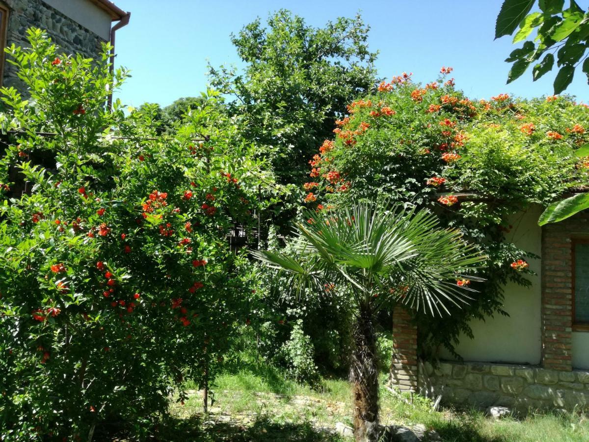Old House Apartment With Garden Area Mtsʼkhetʼa エクステリア 写真