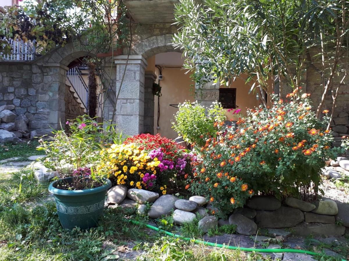 Old House Apartment With Garden Area Mtsʼkhetʼa エクステリア 写真